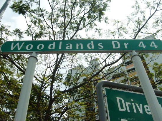 Woodlands Drive 44 #105692